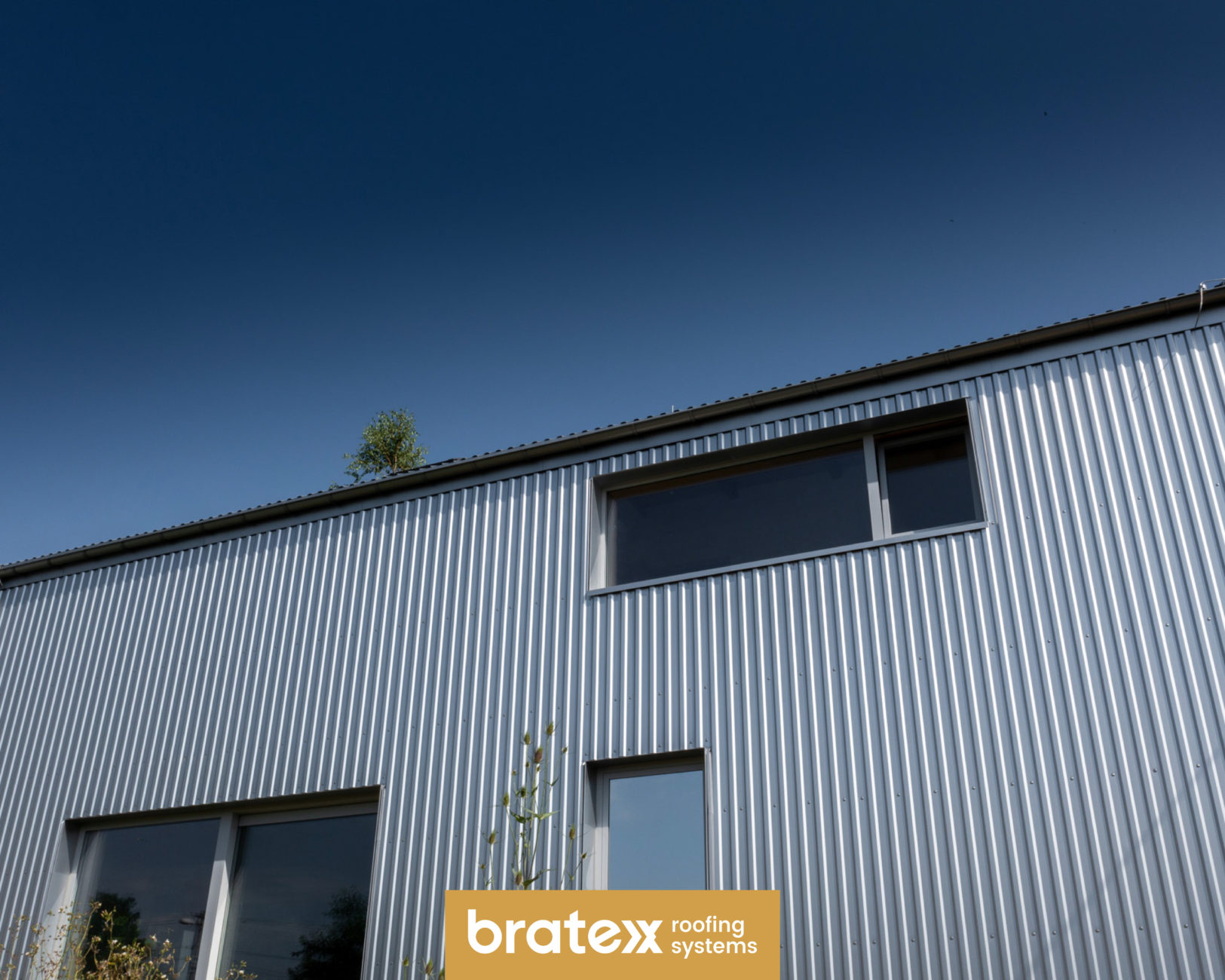 Trapez T-14 Zinc Optic