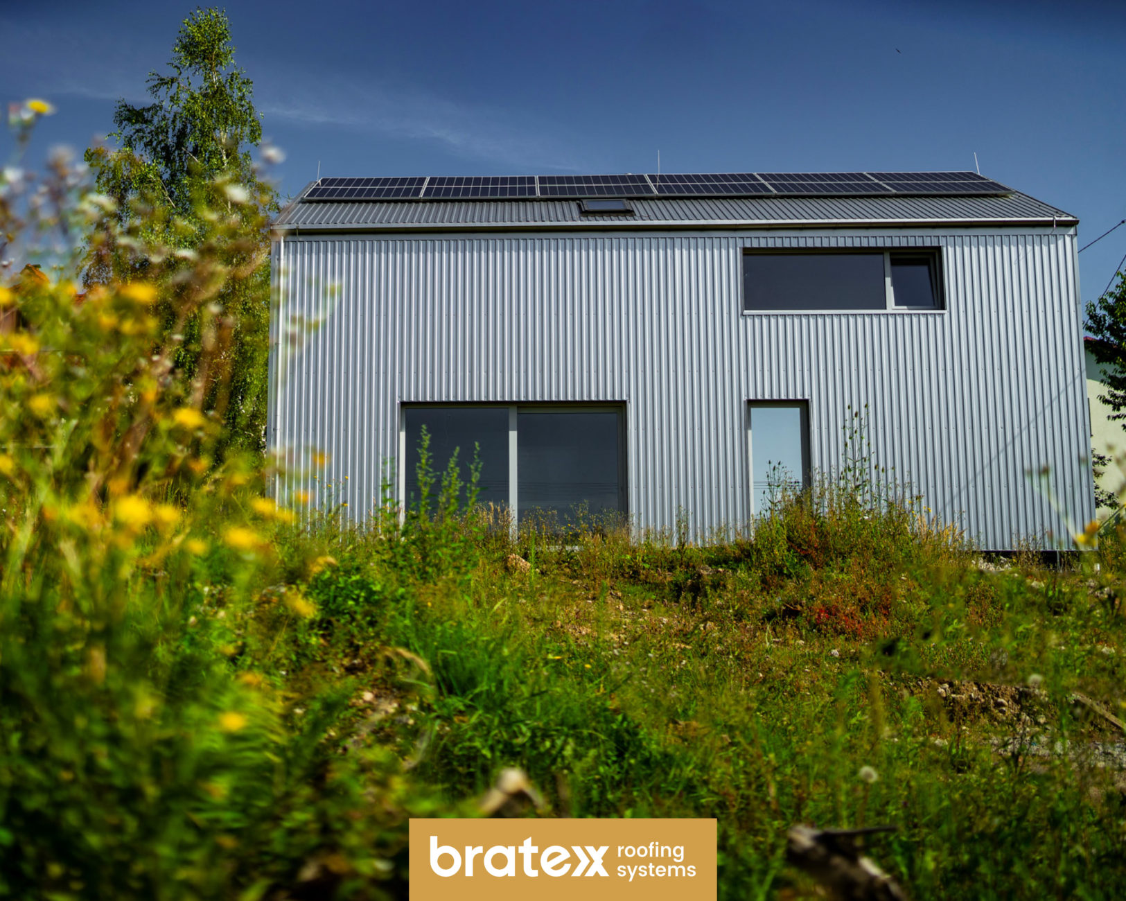 Trapez T-14 Zinc Optic